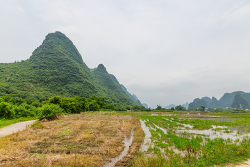 遇龙河