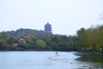 西湖雷峰塔