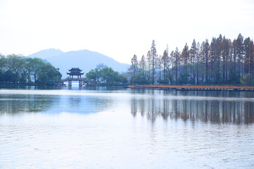 西湖曲院风荷