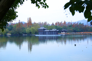 西湖曲院风荷