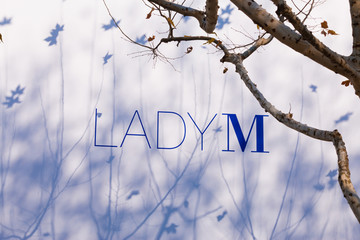 甜品店LadyM