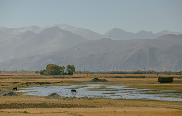 江孜湿地