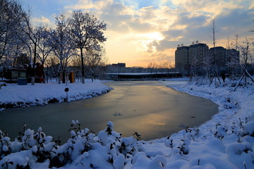 雪景