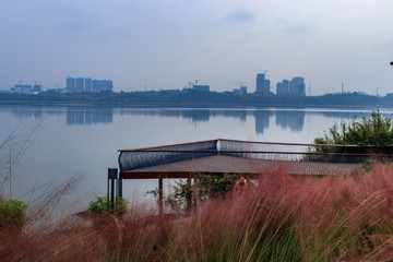 兴隆湖公园景观