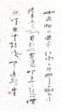 中歲頗好道