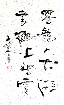 蒼龍入大海
