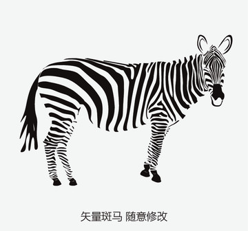 矢量斑馬