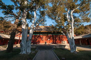 北京法海寺大雄宝殿