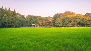 西湖太子湾公园一角