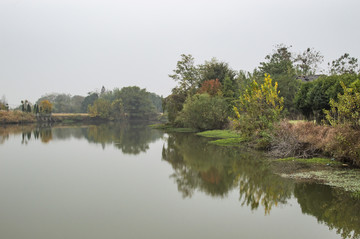 乡下小河