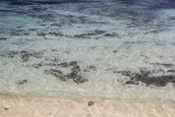 塞舌尔普拉兰岛博丁海滩