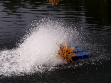 养鱼池的水车