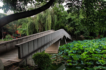 西南交通大学