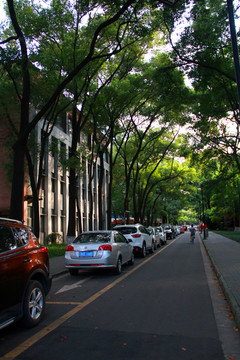 四川大学校园风景