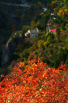 花石崖