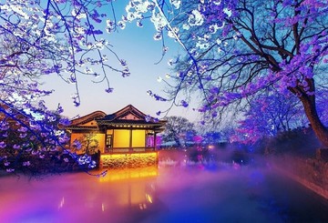 花卉夜景