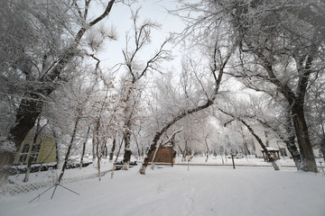 雪景