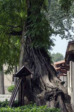 溥仪旧居