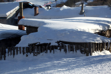 雪乡风光