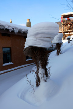 雪乡风光