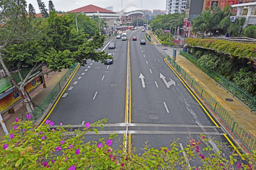 厦门大学前的马路演武路