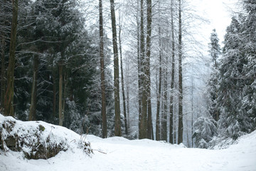 雪景插图