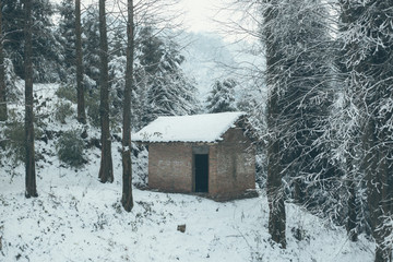 雪景插图