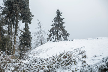 雪景插图