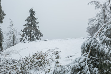 雪景插图