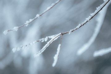 雪景插图