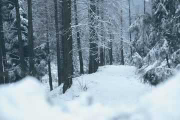 雪景插图