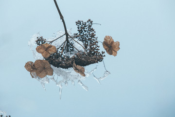 雪景插图