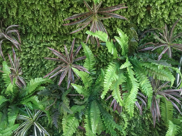 仿真绿植墙