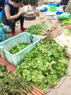 菜市场蔬菜摊