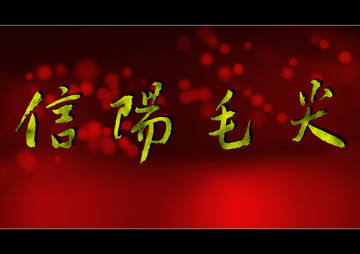 信陽毛尖
