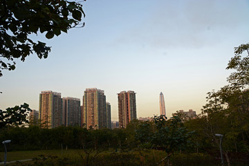 公园远望深圳城市
