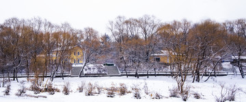 村庄雪景全景