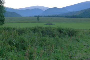 青山绿草地