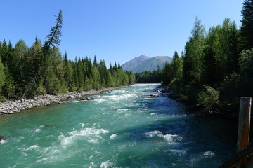 青山绿水