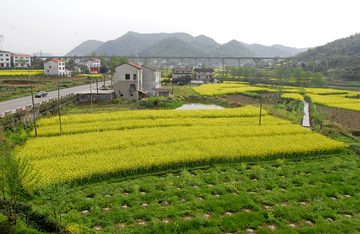 美丽乡村