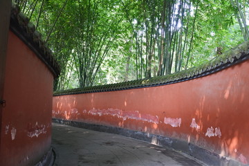 武侯祠的竹林和红墙