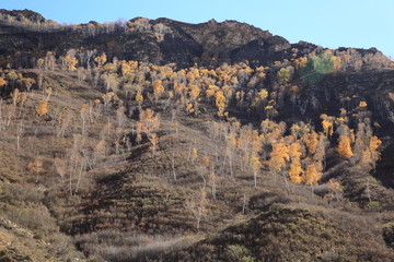 大青山