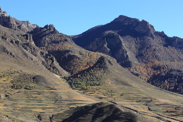 大青山