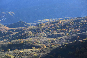 大青山