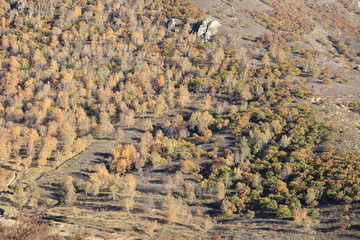 大青山