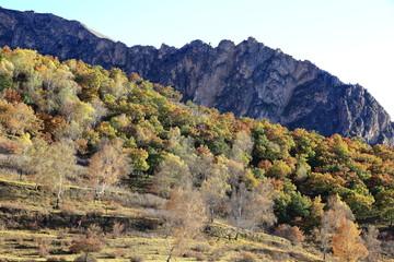 大青山