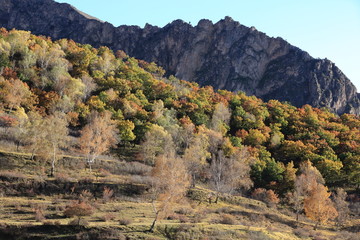 大青山