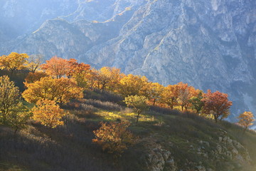 大青山