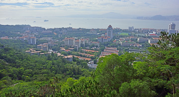 厦门大学全景