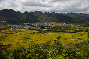 万峰林